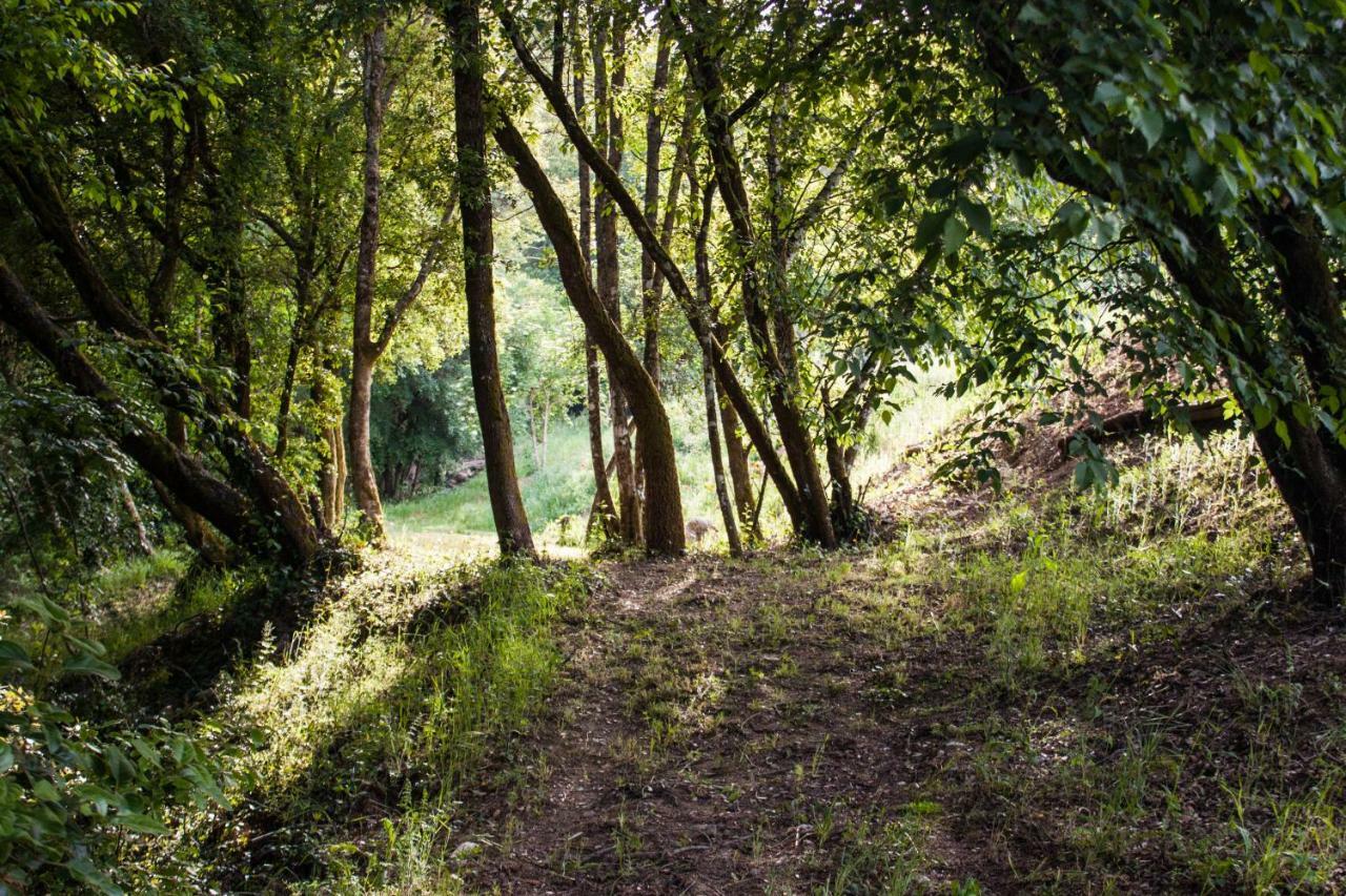 فيلا Mulino Della Rivolta Montenero  المظهر الخارجي الصورة